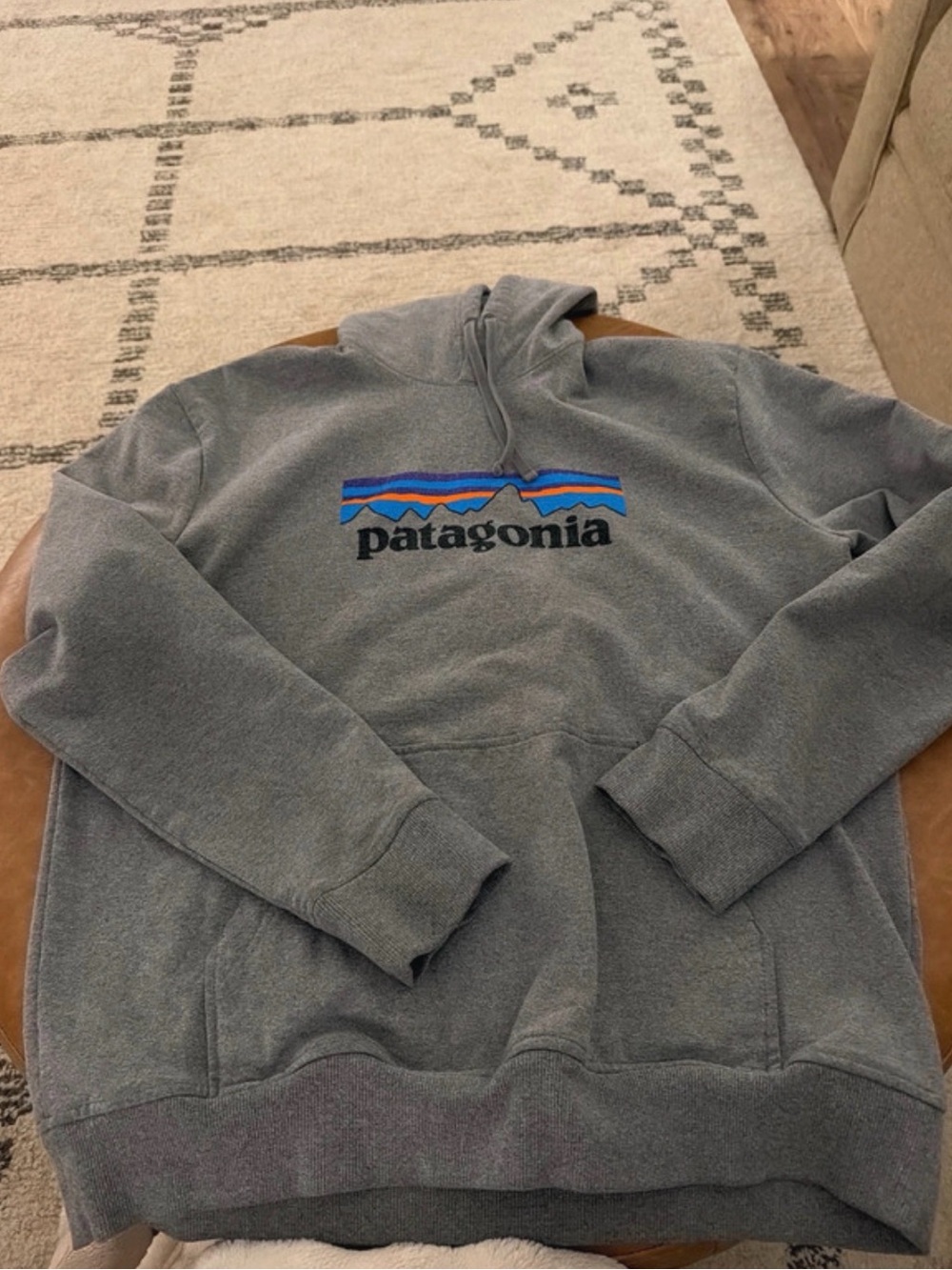 Patagonia Gray Crewneck Hoodie with Multicolor Logo